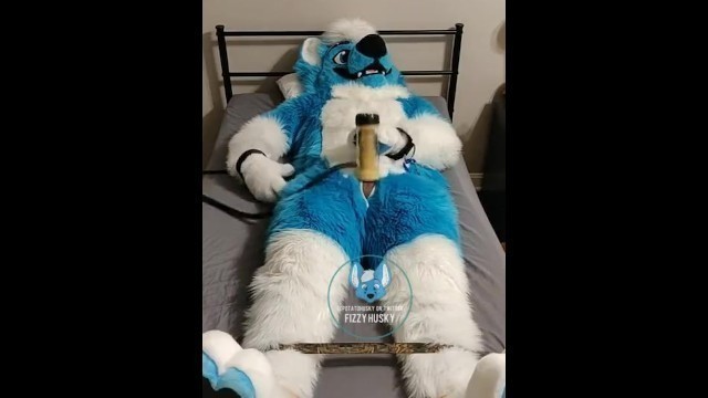 Murrsuiter Milks himself