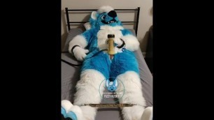 Murrsuiter Milks himself